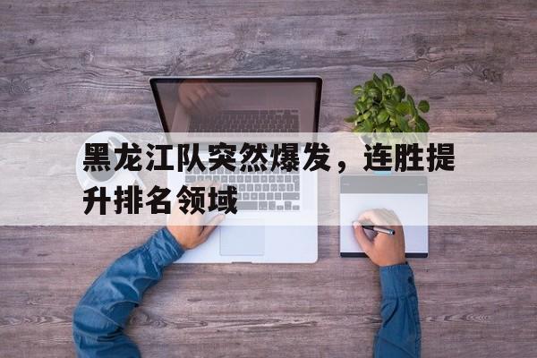 乐鱼-黑龙江队突然爆发，连胜提升排名领域
