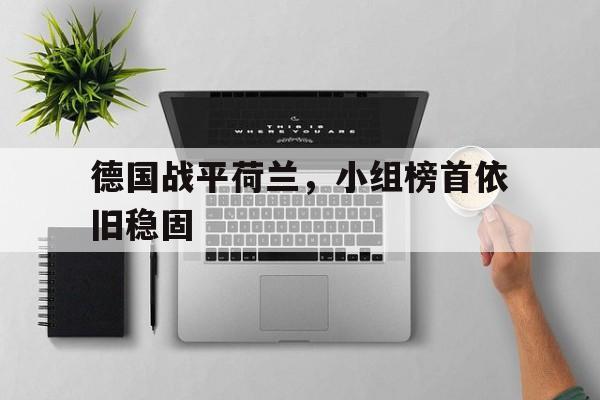 Leyu-德国战平荷兰，小组榜首依旧稳固