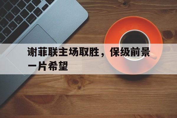 乐鱼-谢菲联主场取胜，保级前景一片希望