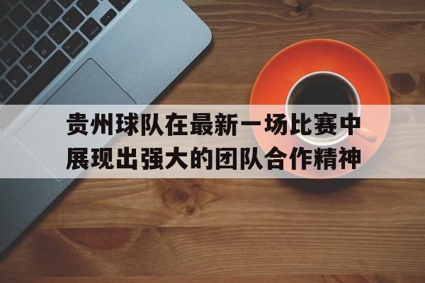 Leyu-贵州球队在最新一场比赛中展现出强大的团队合作精神